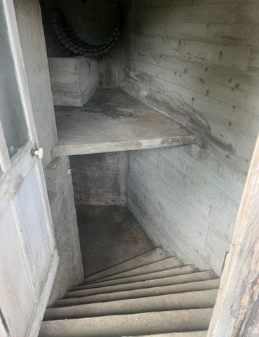 photo no. 11