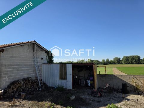 photo no. 13