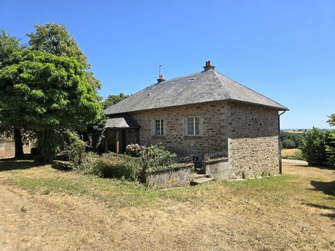photo no. 16