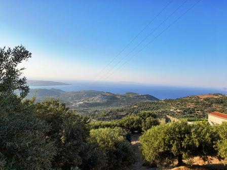 Stavromenos, Sitia, Oost-Kreta Bouwperceel met zeezicht en zeer oude olijfbomen in Stavromenos. Het perceel is 5000m2 en heeft een opstalrecht voor 200m2. Het ligt op 8 km van de zee. Er is een goede ontsluiting en heeft landbouwwater. De elektricite...