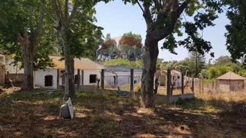 Description Excellent walled urban land located next to Solar dos Zagalos, 5 minutes from Fórum Almada and 10 minutes from Garcia da Horta Hospital. With a total of 3,350m² and a 2003 project for 8 semi-detached houses, with a total construction area...