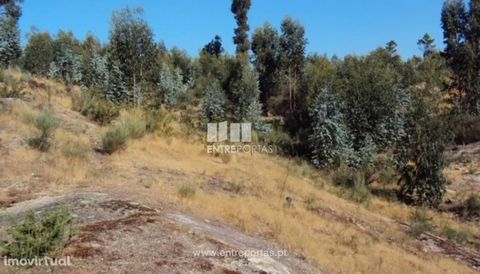 Land for sale, with an area of 22 000 m2, possibility of construction, well located with great access and good sun exposure. Vila Boa de Quires, Marco de Canaveses. Ref.: MC04944 FEATURES: Land Area: 22 000 m2 Area: 22 000 m2 Useful Area: 22 000 m2 E...