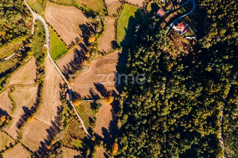 Identificação do imóvel: ZMPT547680 Gård med 30 000 m2, sammansatt av fem artiklar; en urban artikel och fyra rustika artiklar, Beläget på 11minutes (7 km) från Vila Verde och 25 minuter (20 km) från Braga. Med vattenkälla, enkel åtkomst och fantasti...