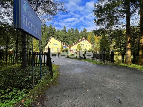 The subject of the sale is the picturesque resort WISAN, located in the heart of the Bieszczady Mountains, surrounded by charming nature and mountains, offering unparalleled opportunities for both leisure and business. This is a unique opportunity fo...