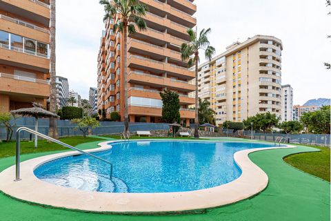 One-room apartment for rent in the residence Benimar III. The total area of 52 m2, consists of one bedroom, a spacious living room, a kitchen, a bathroom, a large balcony with outdoor furniture, a shared landscaped courtyard with a swimming pool and ...