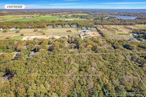 Located in the highly desirable Water Mill hamlet, is this extremely rare opportunity. This 3.83 acre estate parcel is both fully clearable, and sub-dividable! Leaving you with the options of building a grand estate, sub-dividing into 2 separate lots...