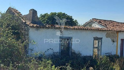 Property with Urban Land with 4,675 m2, has a ruined house with 68.6 m2 to recover Patio with 94.95 m2. Flat land with olive trees, good accesses. Light next to the property, the rest of the infrastructures in the vicinity of the property. Area to be...