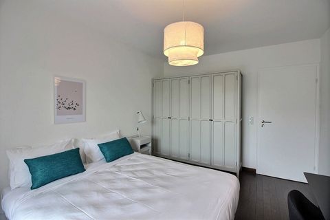 photo no. 10