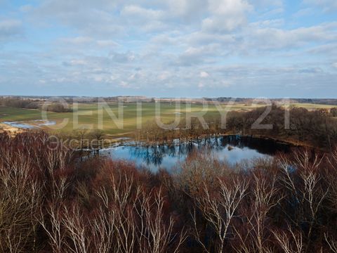 В продаже земельный участок 2771 кв.м (27,71 соток) Кадастровый номер: 39:05:040625:232 Поселок Зеленый Гай - 24 км. от Калининграда и 16 км от Светлогорска Категория земель: Земли сельскохозяйственного назначения Виды разрешенного использования: Вед...