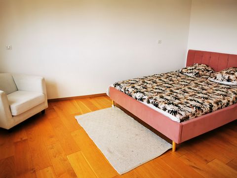 photo no. 8