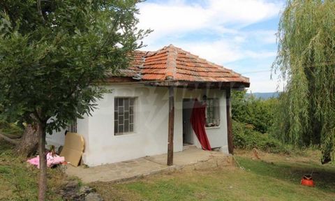 Agenzia SUPRIMMO: ... Proponiamo una piccola casa in un villaggio a 18 km dalla città di Shumen. Elena. La proprietà ha una superficie edificata totale di 40 mq. a un piano. La villa si trova in un ampio cortile di 2256 mq. L'elettricità (possibilità...