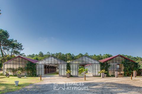 Located to the west of Dax, in the town of Mées, this atypical owners' stable is organized on a plot of 22657 m2. The discovery and originality of this place begins as soon as you enter the stables. A former horticultural greenhouse completely redesi...