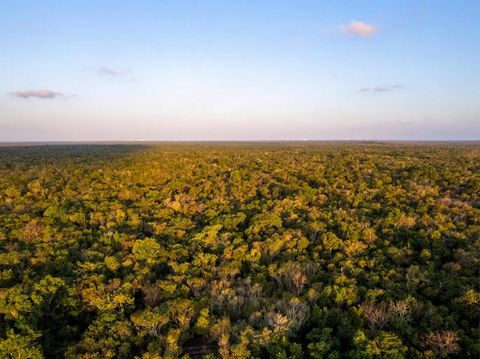 Scopri un'opportunità di investimento unica sull'isola di Cozumel, a soli 30 minuti di traghetto da Playa del Carmen. Situata a soli 20 minuti di auto verso la costa orientale dell'isola, questa terra si trova a 2 km dalle rovine di San Gervasio e a ...