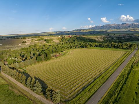 Nestled in the Lower South Fork, this extraordinary legacy offers a unique combination of rural remoteness, irrigated acreage, state land access, abundant wildlife, and soothing sounds of the Shoshone River. The ranch style home and accessory buildin...