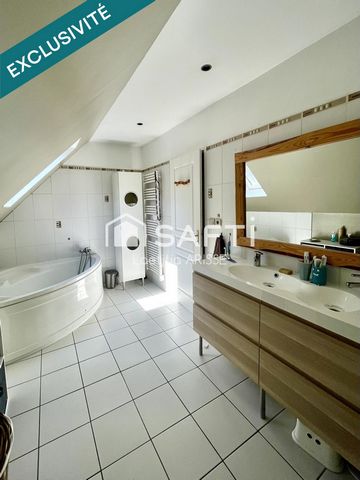 photo no. 11