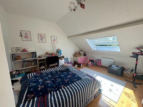 photo no. 6