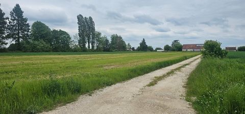 Terrain à vendre 4026 m² à Laperrière-sur-Saône