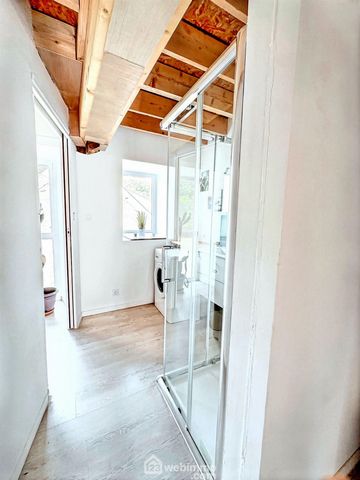 photo no. 12