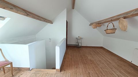 photo no. 8