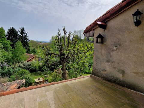 photo no. 13
