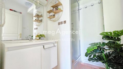 photo no. 11