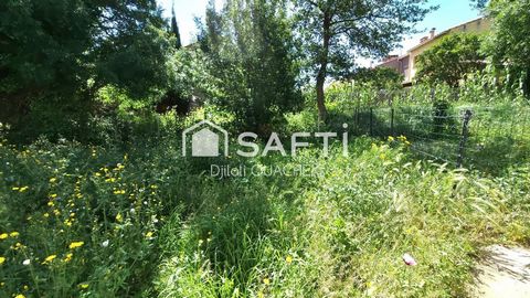 photo no. 11