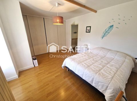photo no. 11