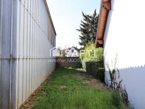 photo no. 17