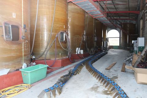 photo no. 5