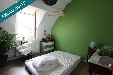 photo no. 8
