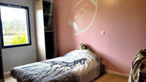photo no. 12