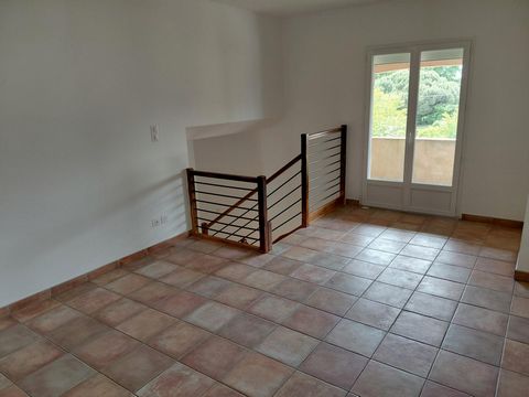 photo no. 11