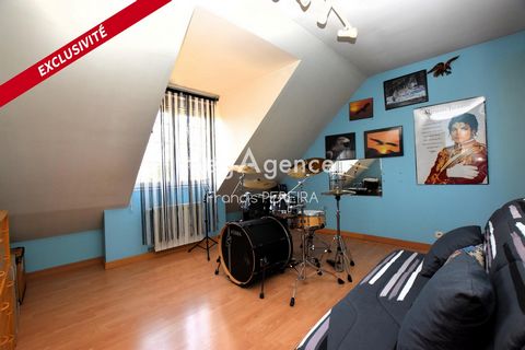 photo no. 11