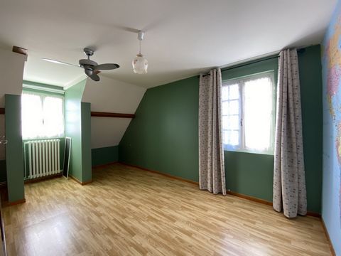 photo no. 15
