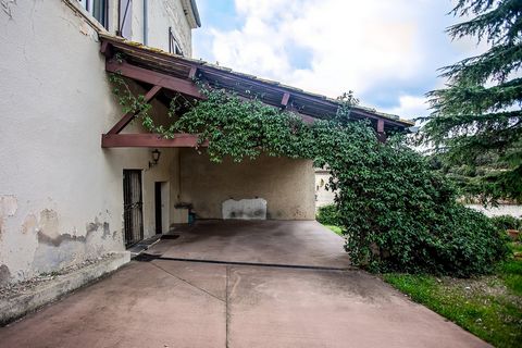 photo no. 11