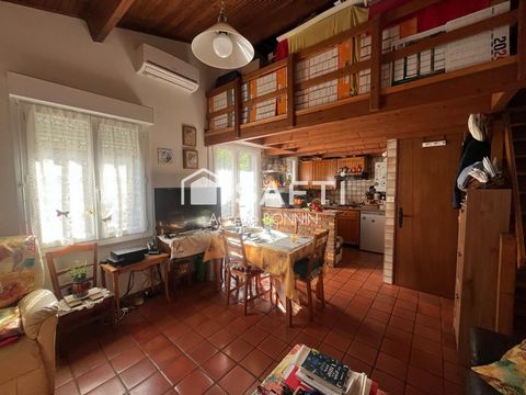 photo no. 13