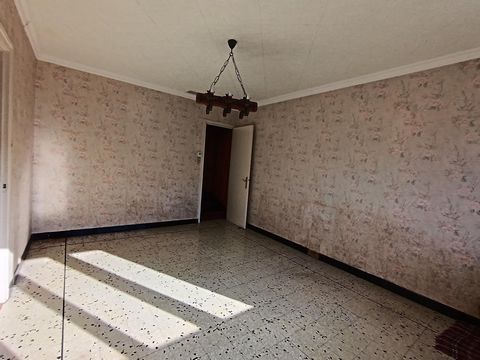 photo no. 8
