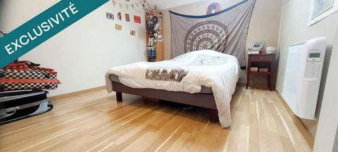photo no. 14
