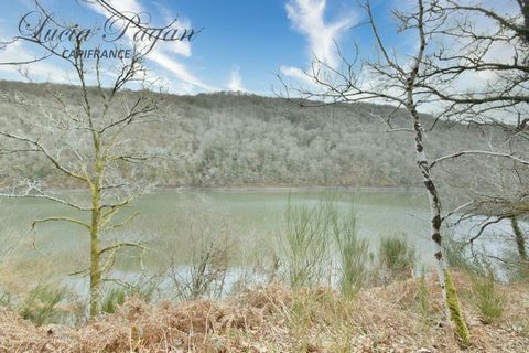 photo no. 1