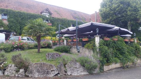 photo no. 12