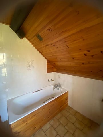 photo no. 19