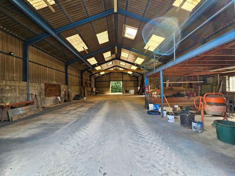 photo no. 4
