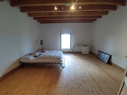 photo no. 18