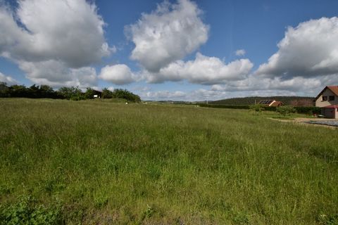 photo no. 1