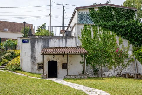 photo no. 1