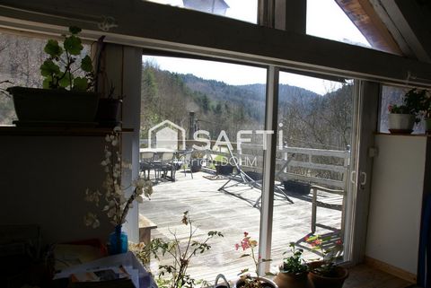 photo no. 10