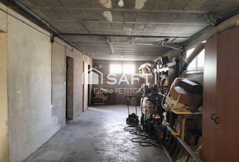 photo no. 11