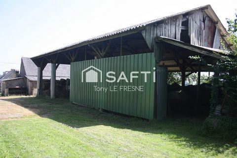 photo no. 6