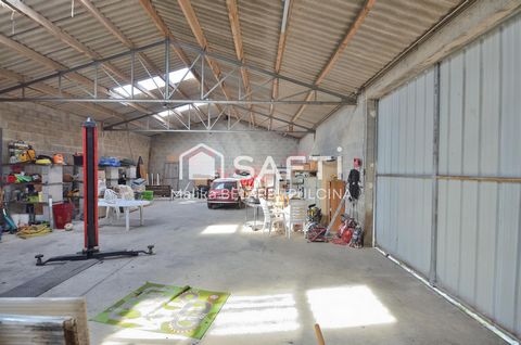 photo no. 17