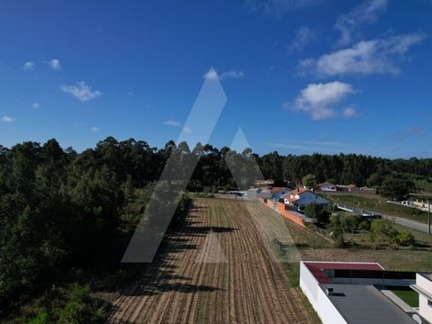 Terreno para construção de moradia isolada com excelentes acessos ao nó da A17 e a cerca de 10 minutos de Aveiro e a 5 minutos de Ílhavo. Ideal para quem procura viver a poucos minutos de ambas as cidades, mas numa zona calma e tranquila, longe do ru...